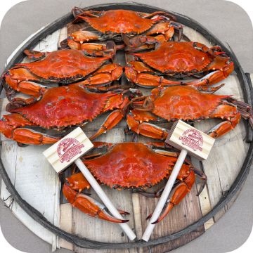 Maryland Jumbo Male Blue Crabs (1/2 dozen)